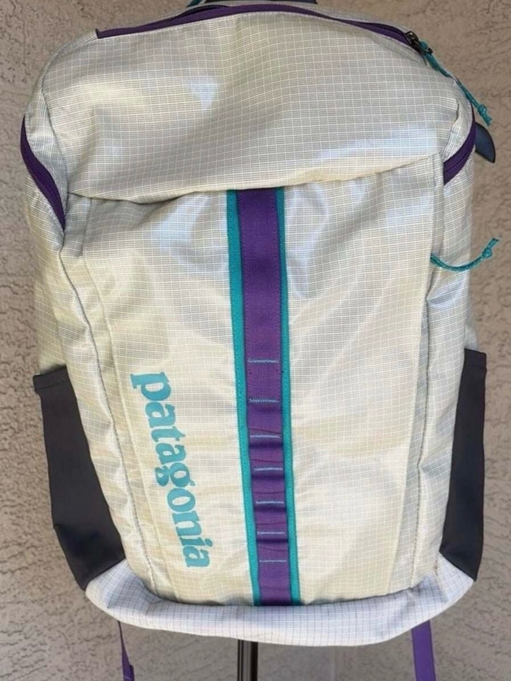 Retired Patagonia White Backpack with Purple & Teal Accents